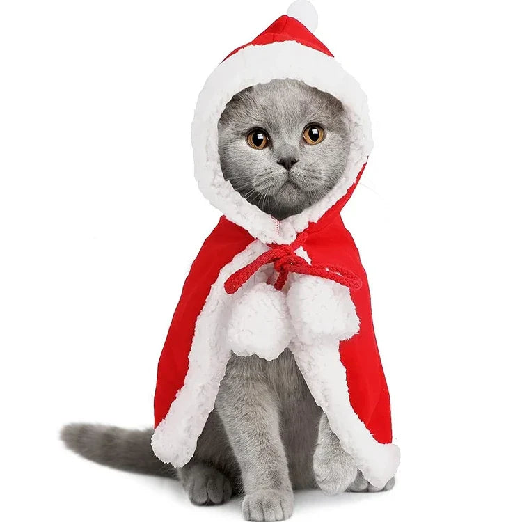 Déguisement Noël Chat