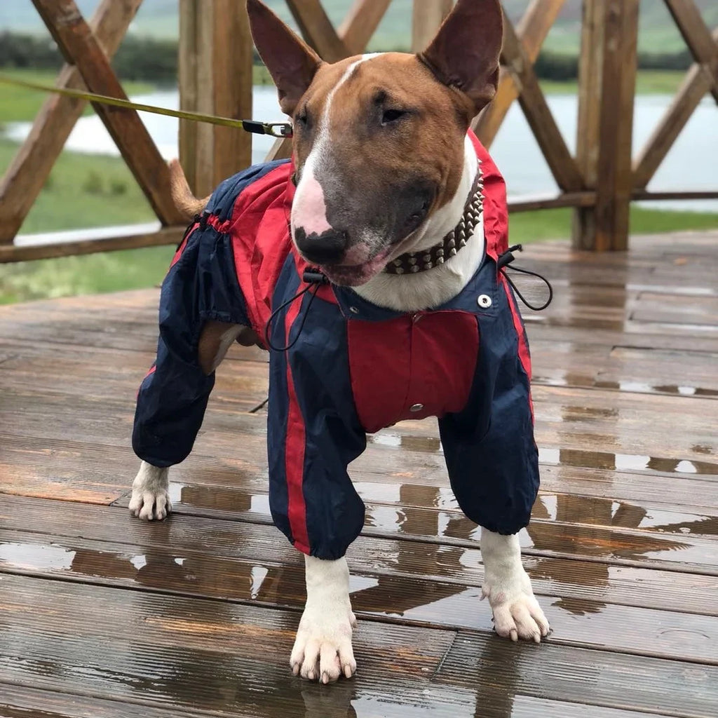 Manteau Chien Bull Terrier