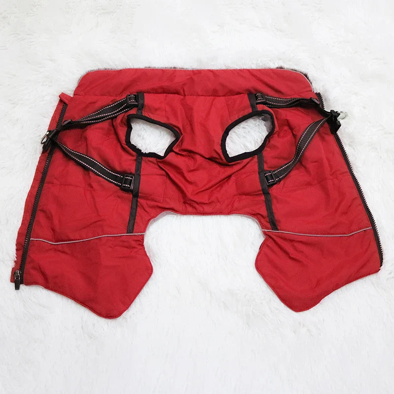 Veste Fourrure Chien