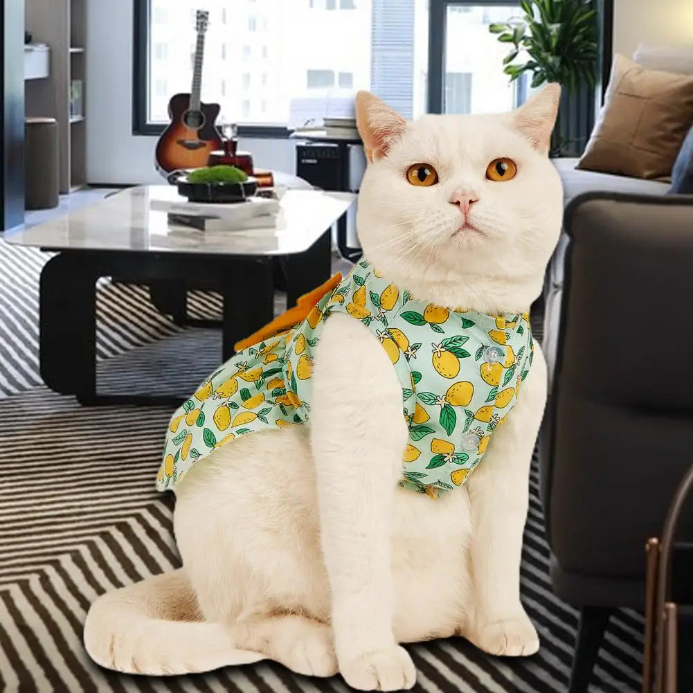 Robe Chat Vêtement