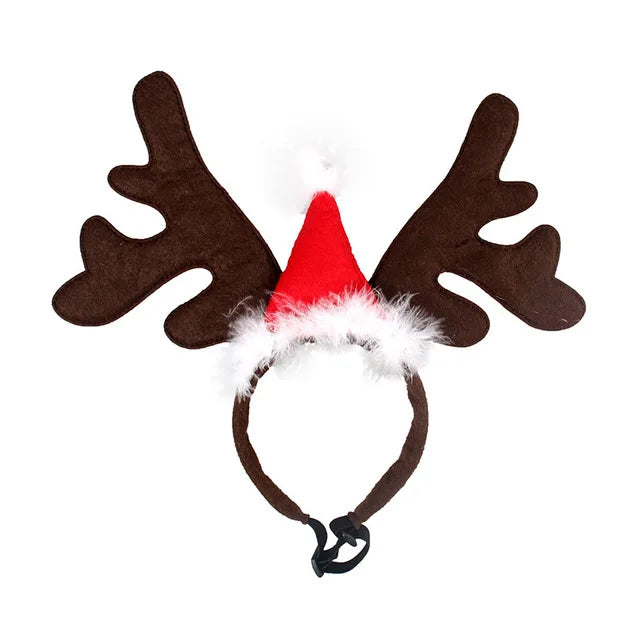 Chapeau de Noël Chien