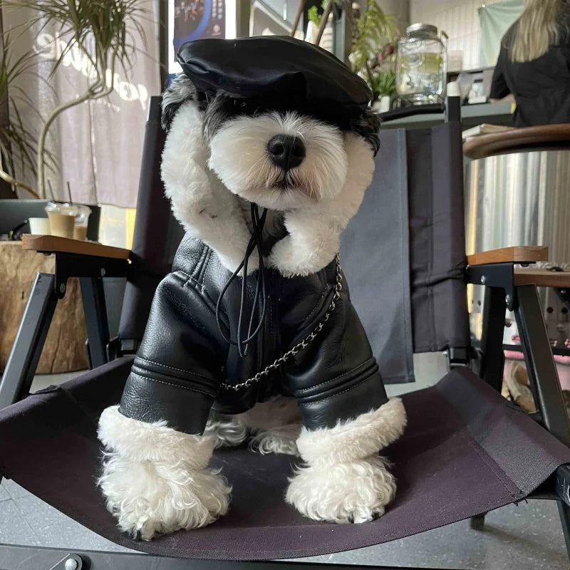Blouson Aviateur pour Chien