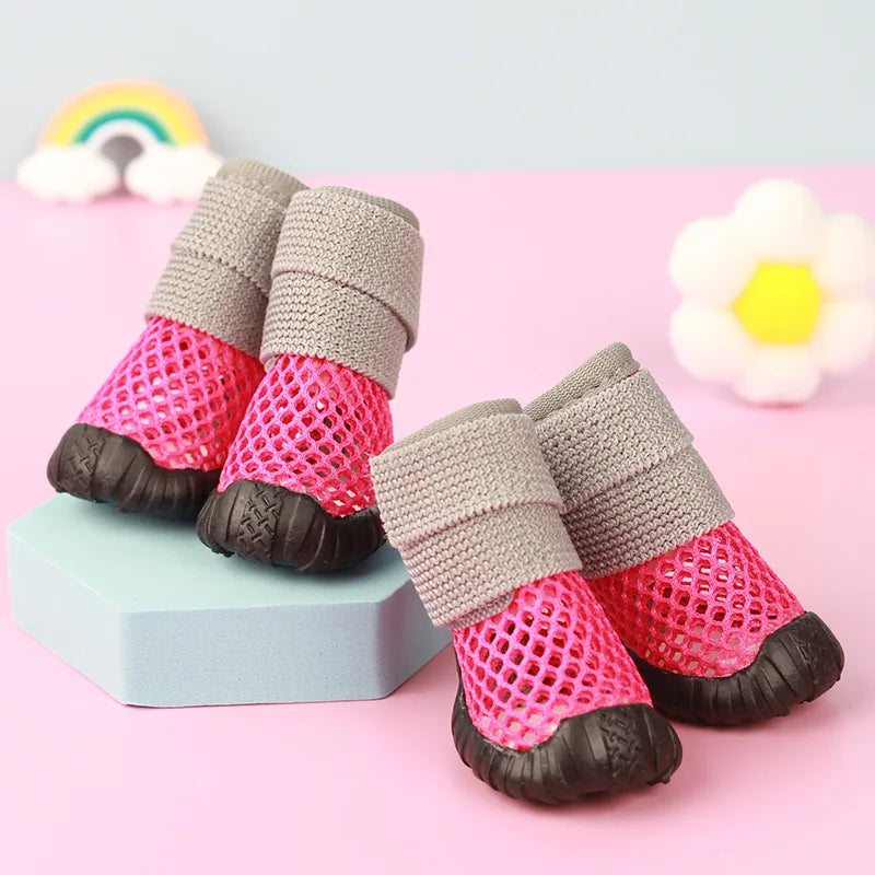Chaussures Chihuahua & Petit Chien