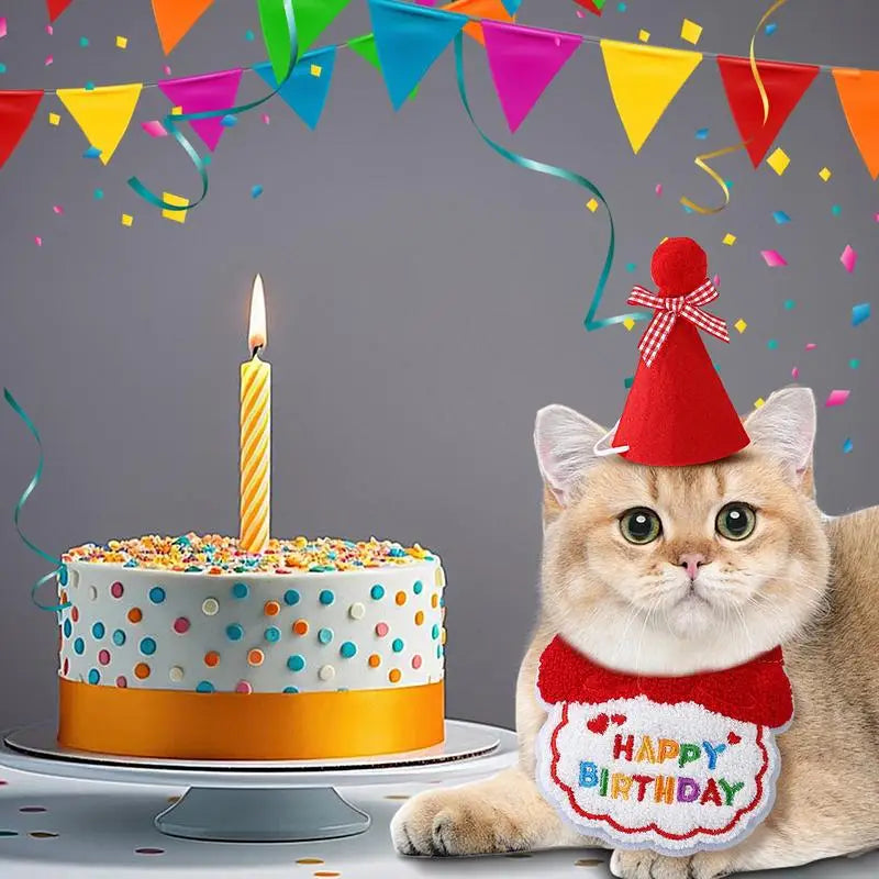 Chapeau Anniversaire Chat