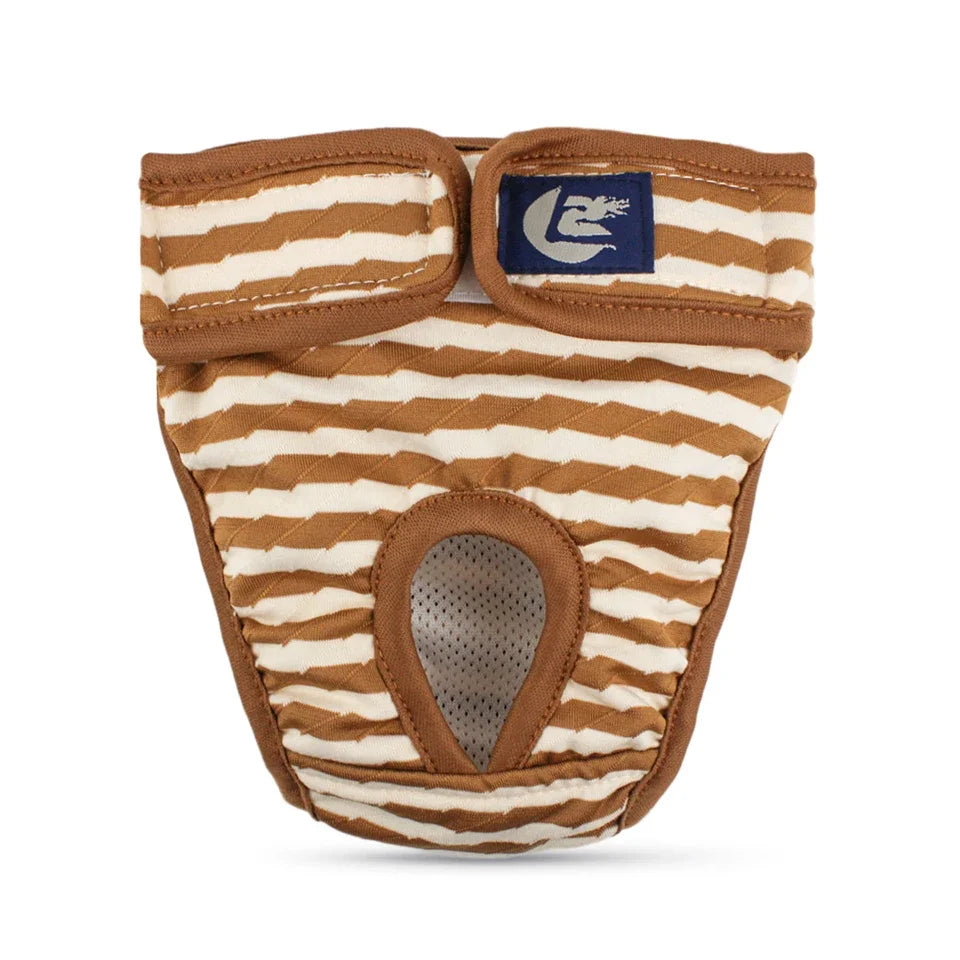 Culotte Menstruelle / Incontinence Chien