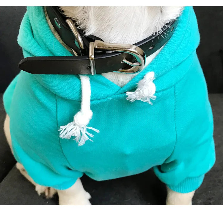 Sweat Chien Maitre Unisex
