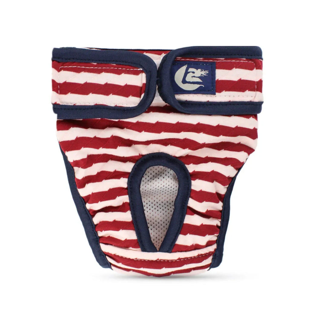 Culotte Menstruelle / Incontinence Chien