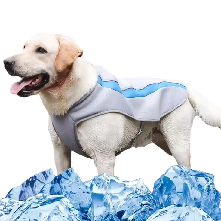 Gilet Veste Fraîcheur pour Chien