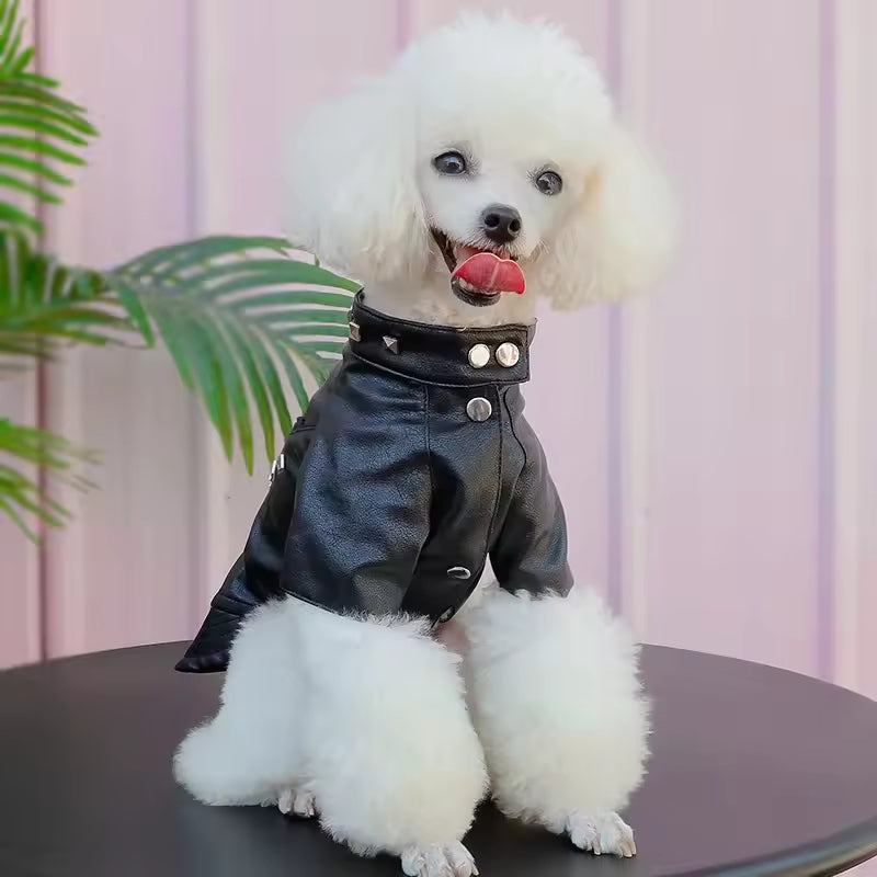 Veste en Cuir pour Chat