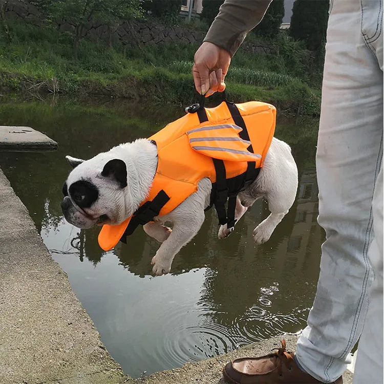 Harnais Flottant Chien
