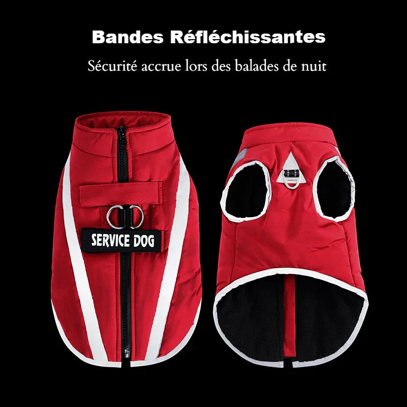 Veste Chien Hiver