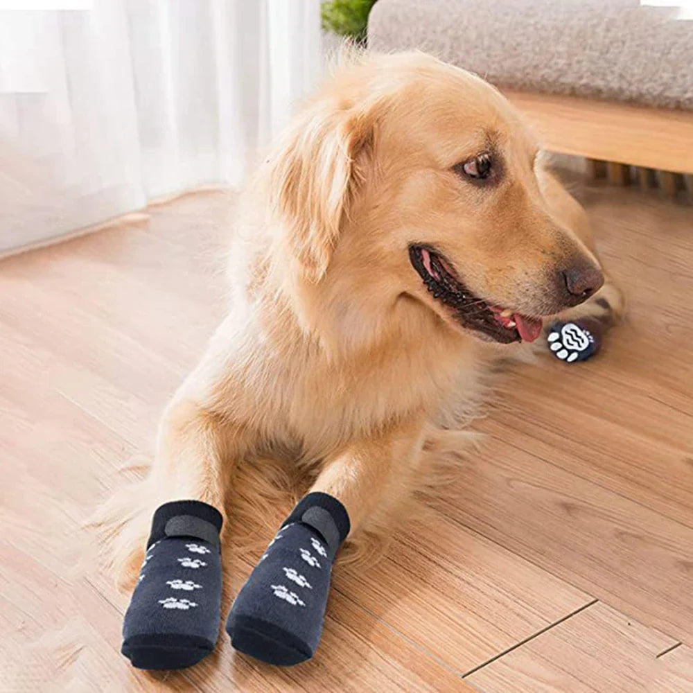 Chaussette pour Chien Parquet Antidérapant