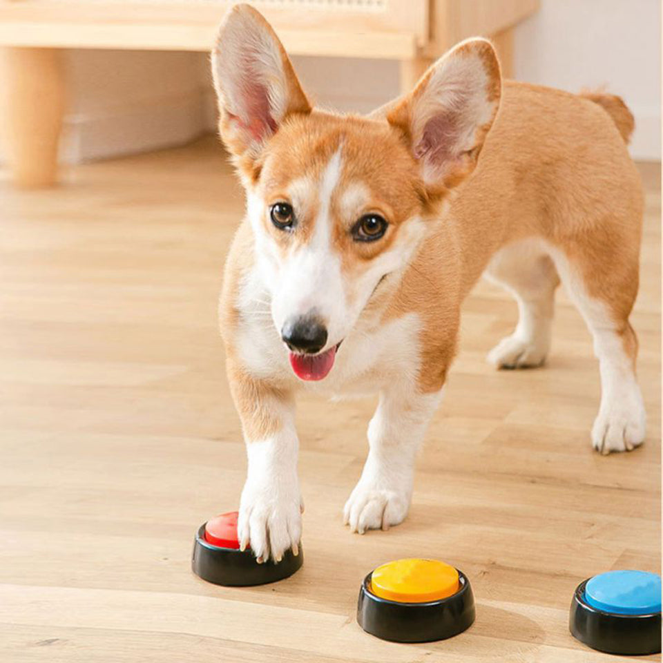 Bouton vocale | PawPlay™