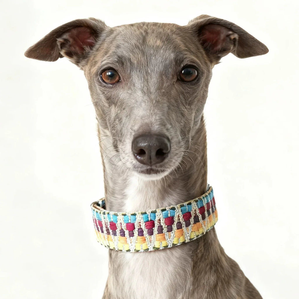 Collier Pour Chien Bohème Tissé À La Main En Cuir Durable