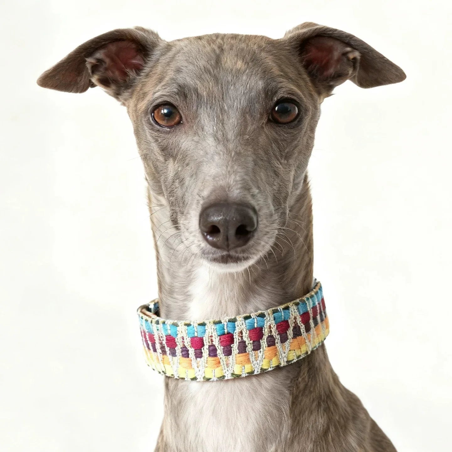Collier Pour Chien Bohème Tissé À La Main En Cuir Durable