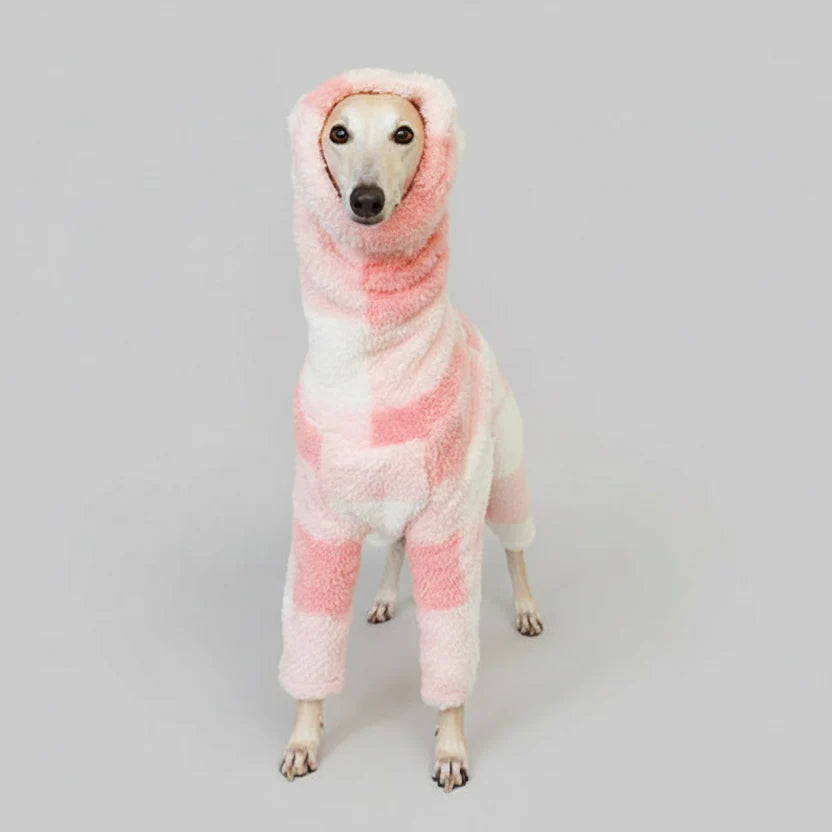 Pull Pour Lévrier Motif Carreaux Rose Blanc
