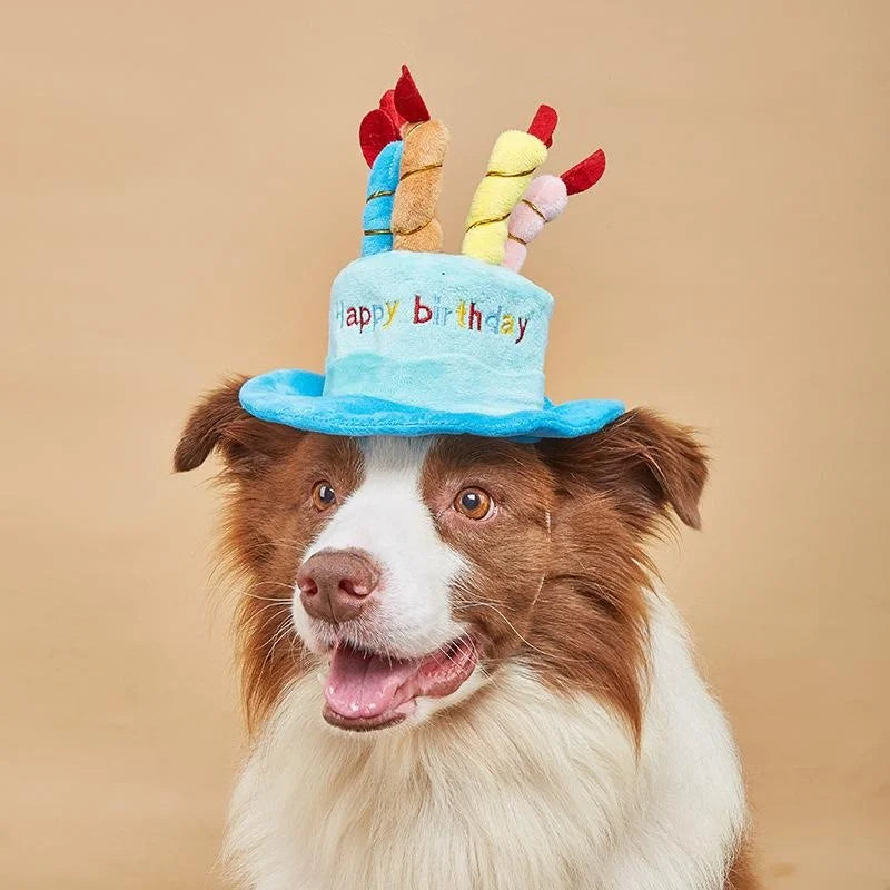 Chapeau d'Anniversaire pour Chien