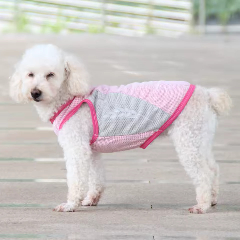 Gilet Rafraîchissant pour Grand Chien