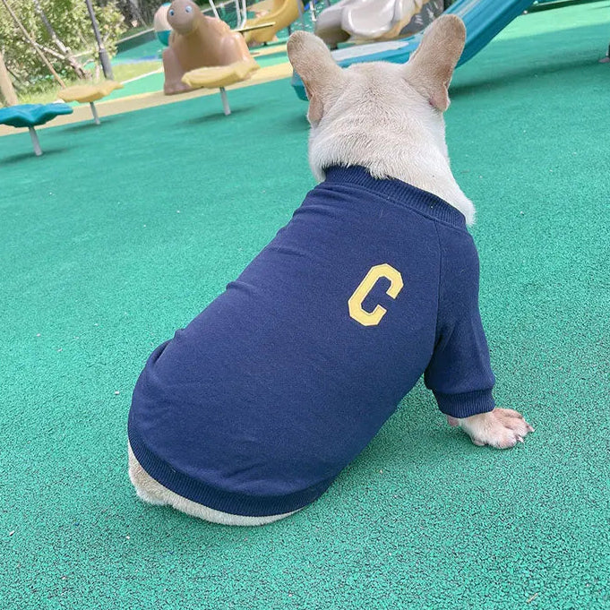 Pull Chien et Humain