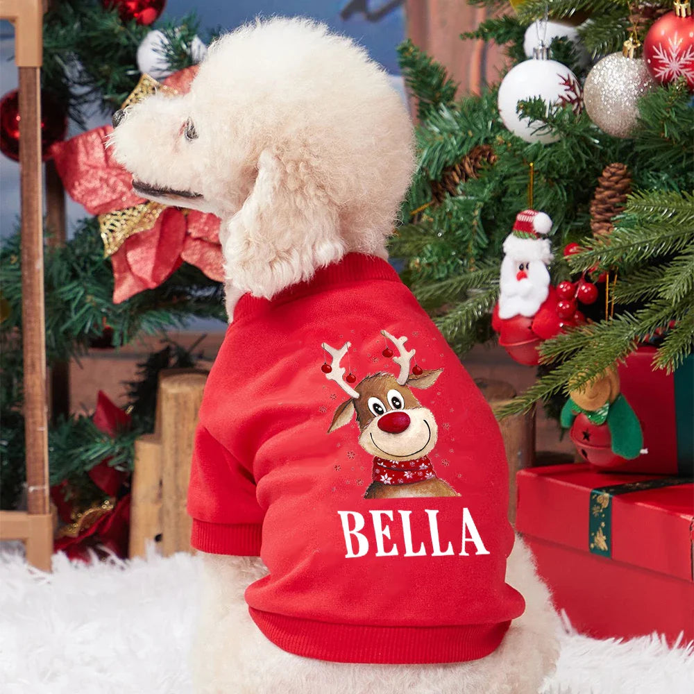 Pull Noël Chien Personnalisé