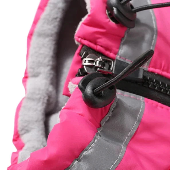 Manteau Chien Harnais Intégré