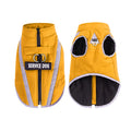 Veste Chien Hiver