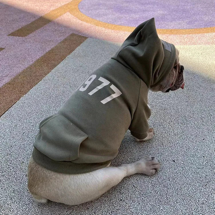 Hoodie pour Chien et Maitre