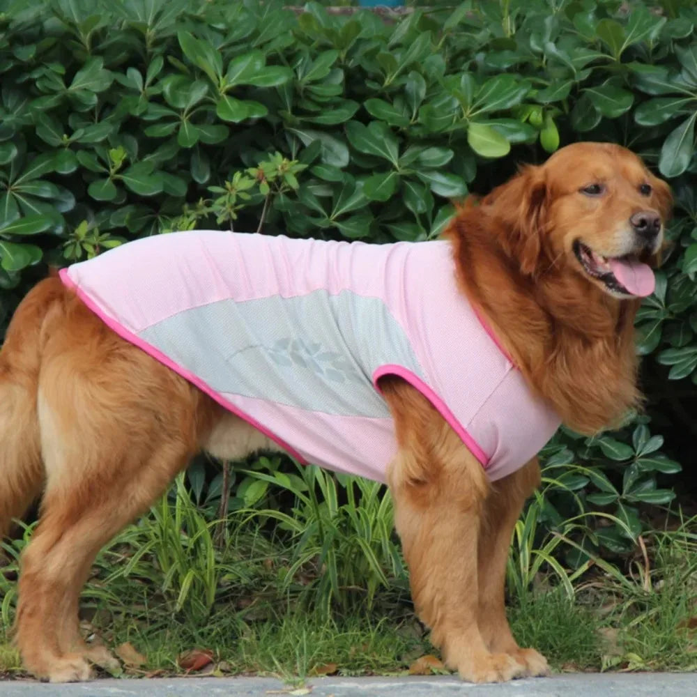 Gilet Rafraîchissant pour Grand Chien
