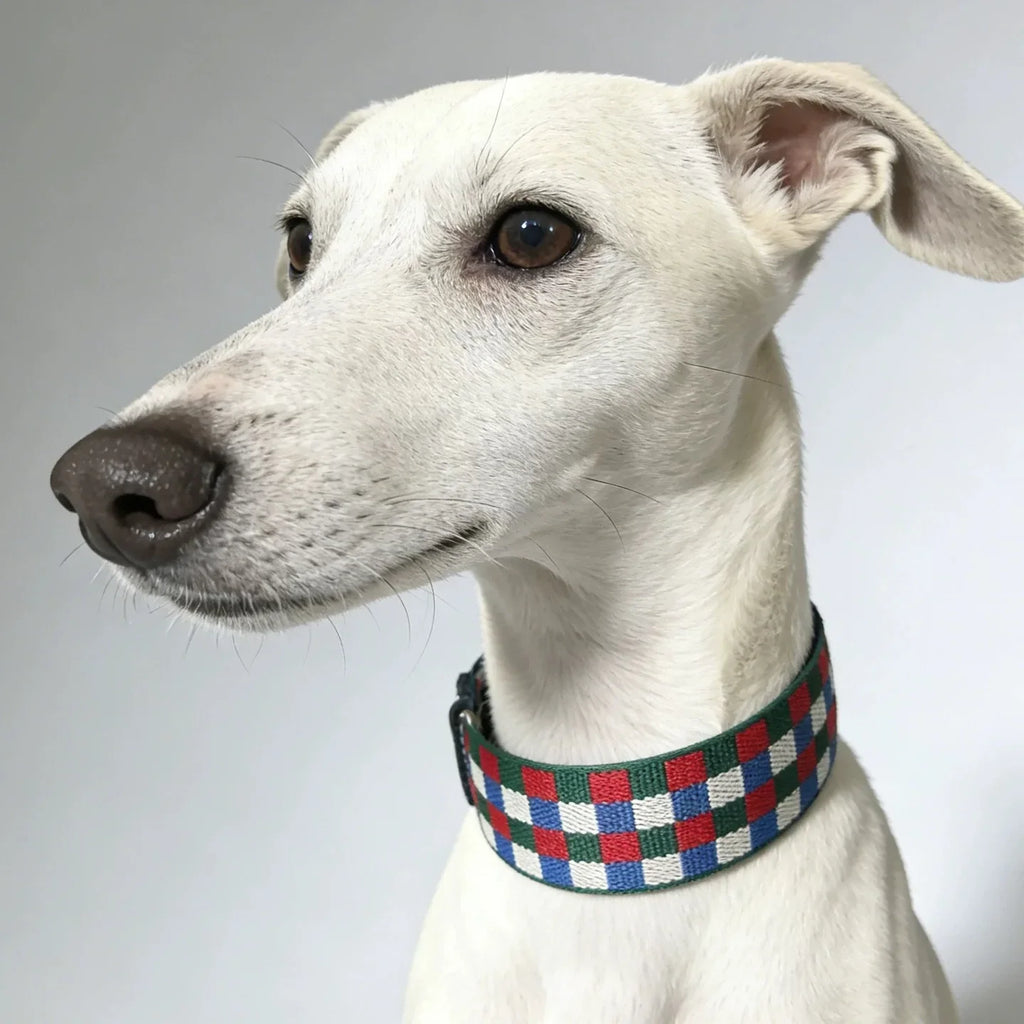 Collier Chien Damier Multicolore En Cuir Véritable Largeur 3,8 cm