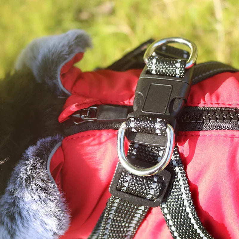 Veste Fourrure Chien