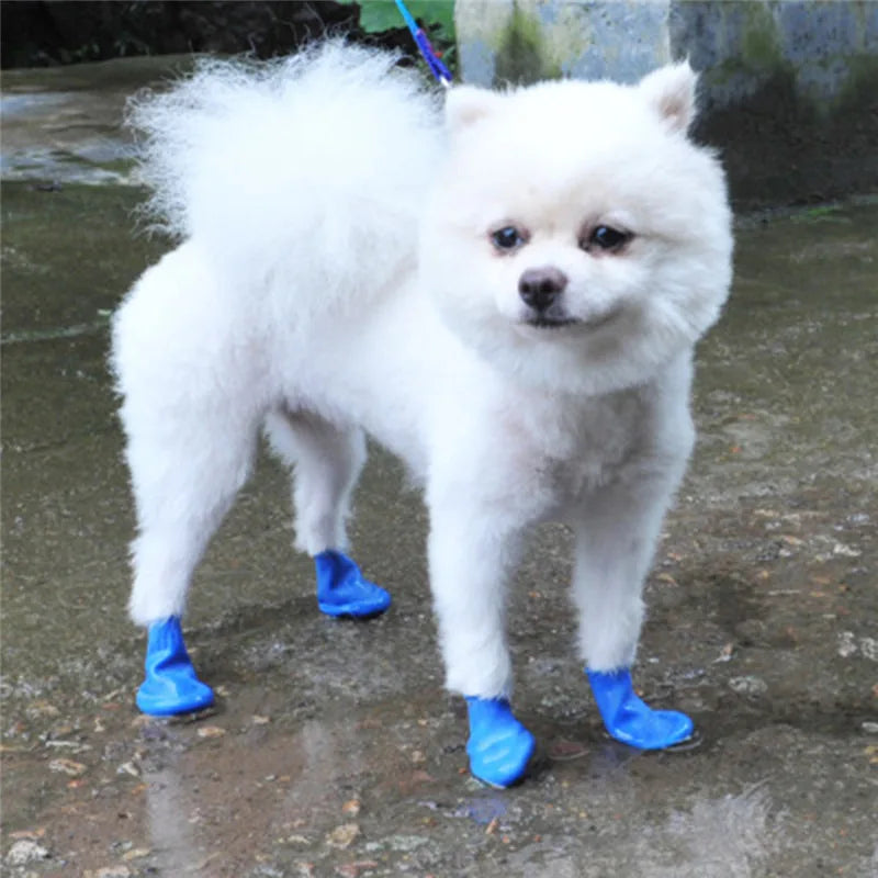 Chaussette Silicone Chien
