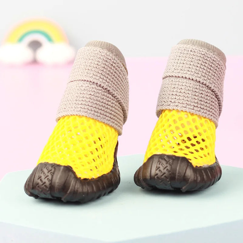 Chaussures Chihuahua & Petit Chien