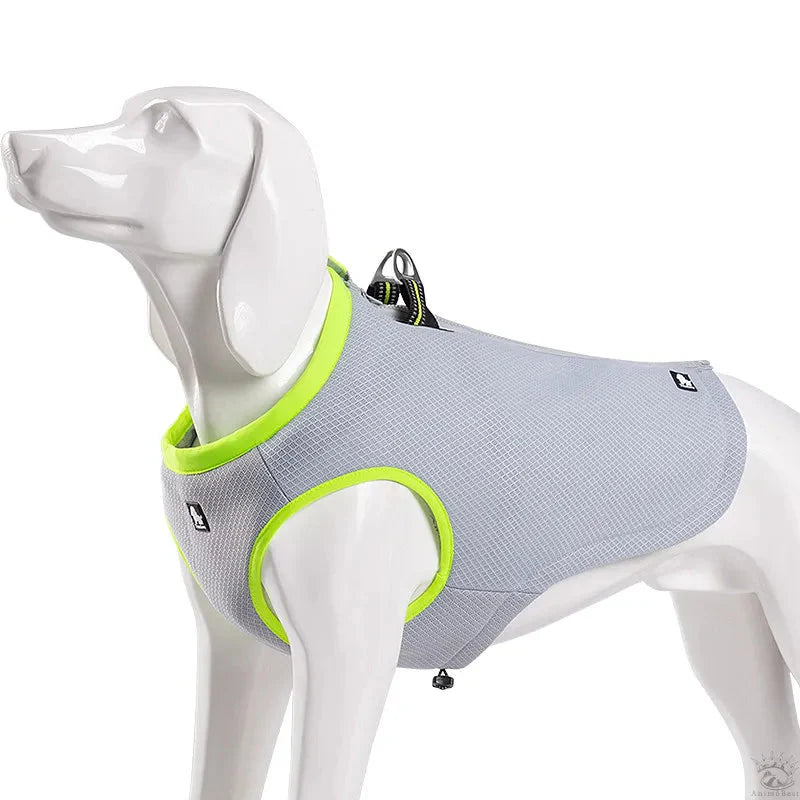 Manteau Chien Rafraîchissant