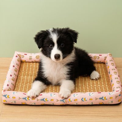 Tapis Chien rafraichissant - BambouToutou™