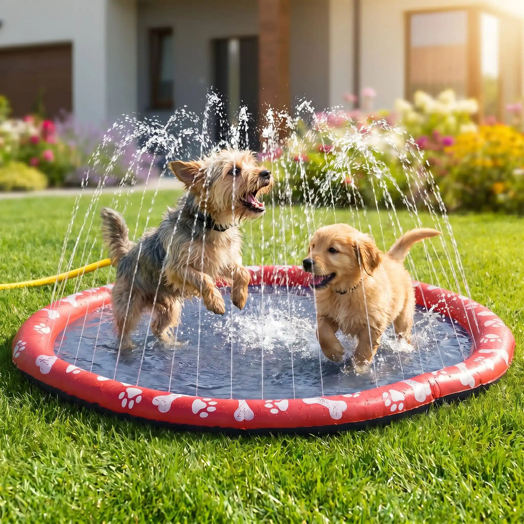 Tapis d'eau pour chien - JetToutou™