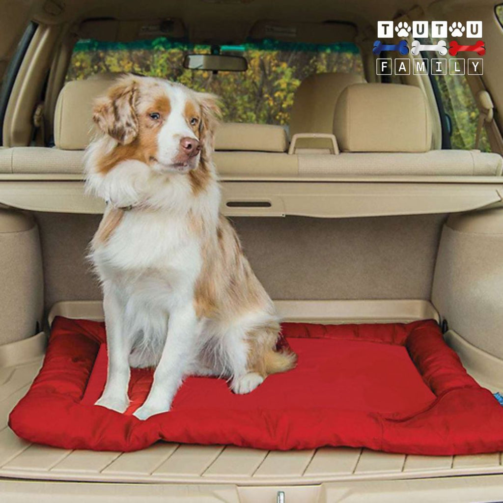 Tapis imperméable pour chien - VoyageToutou™