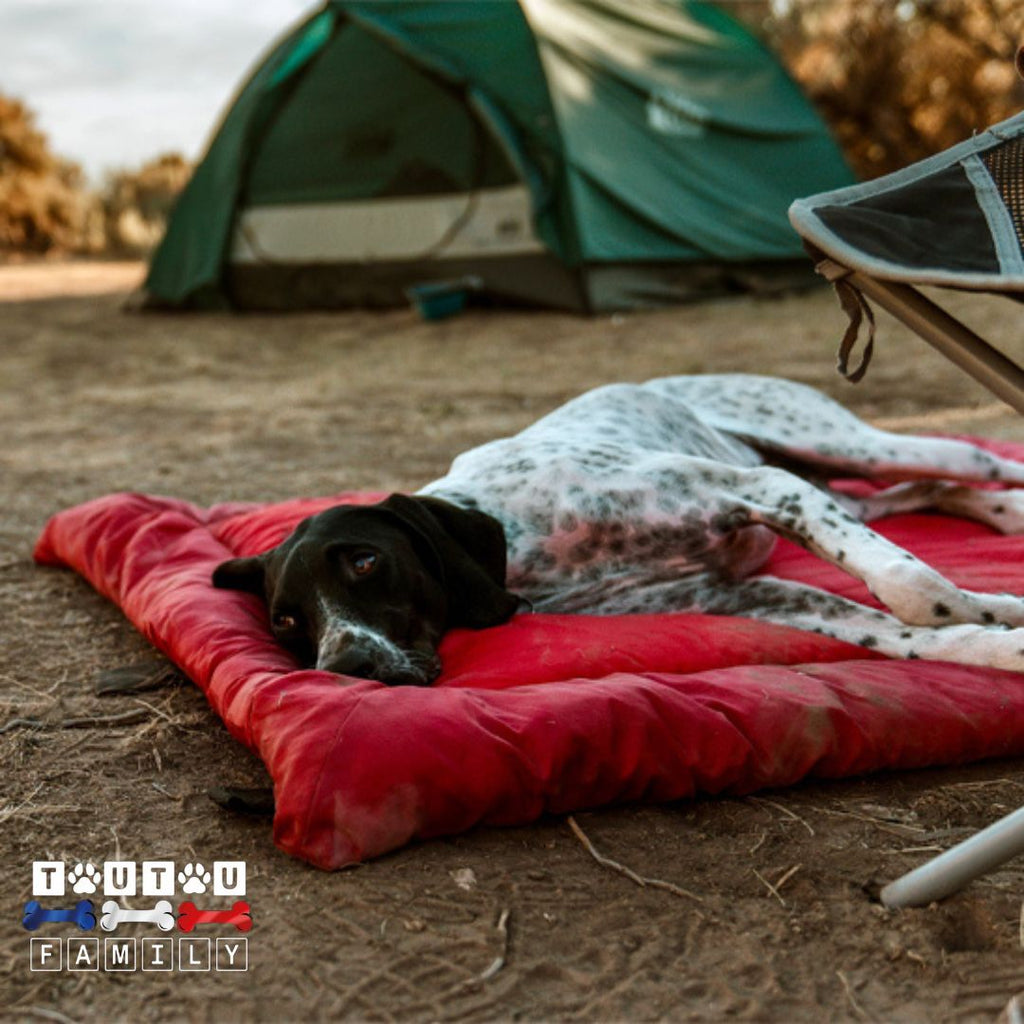 Tapis imperméable pour chien - VoyageToutou™