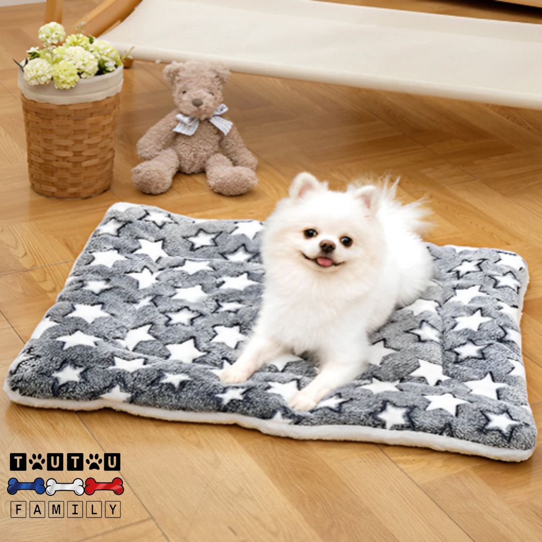 Tapis pour chien - CouchageToutou™