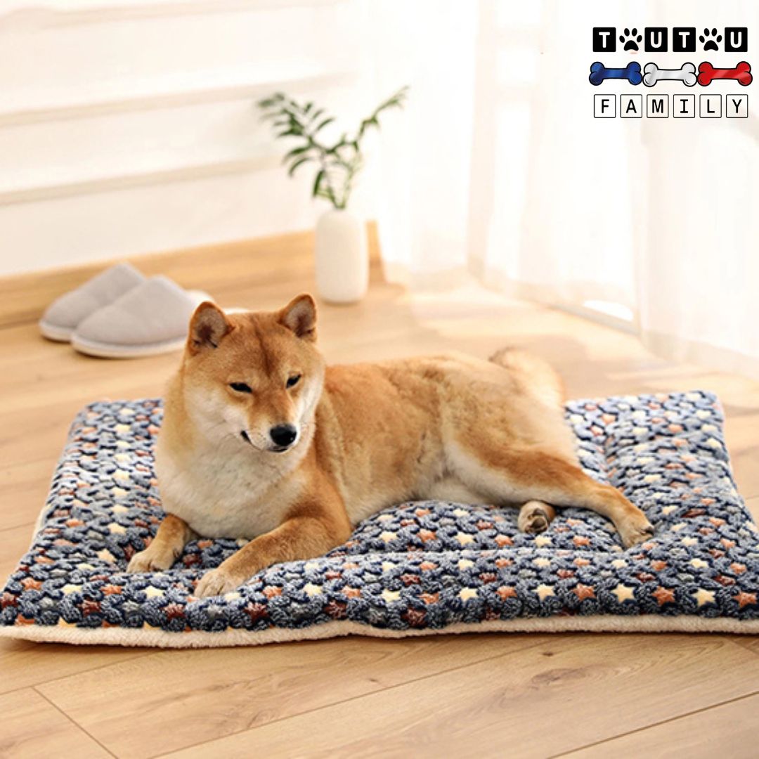 Tapis pour chien - CouchageToutou™
