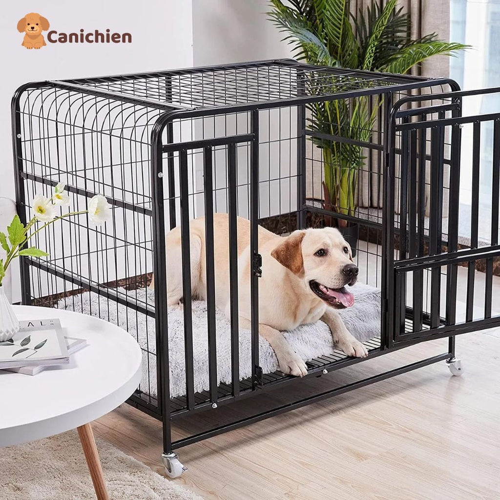 Tapis pour chien | Confortplus™