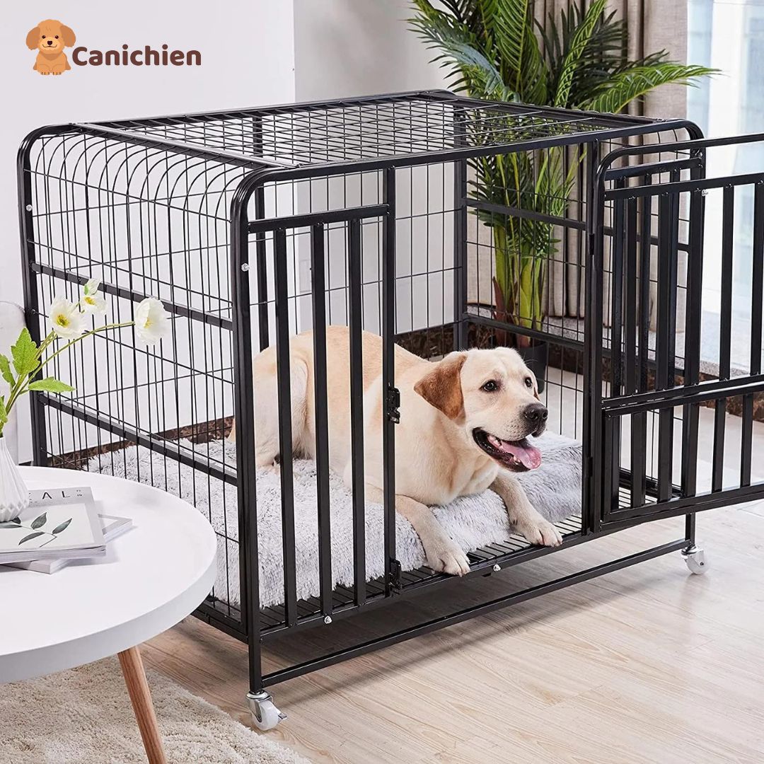 Tapis pour chien | Confortplus™