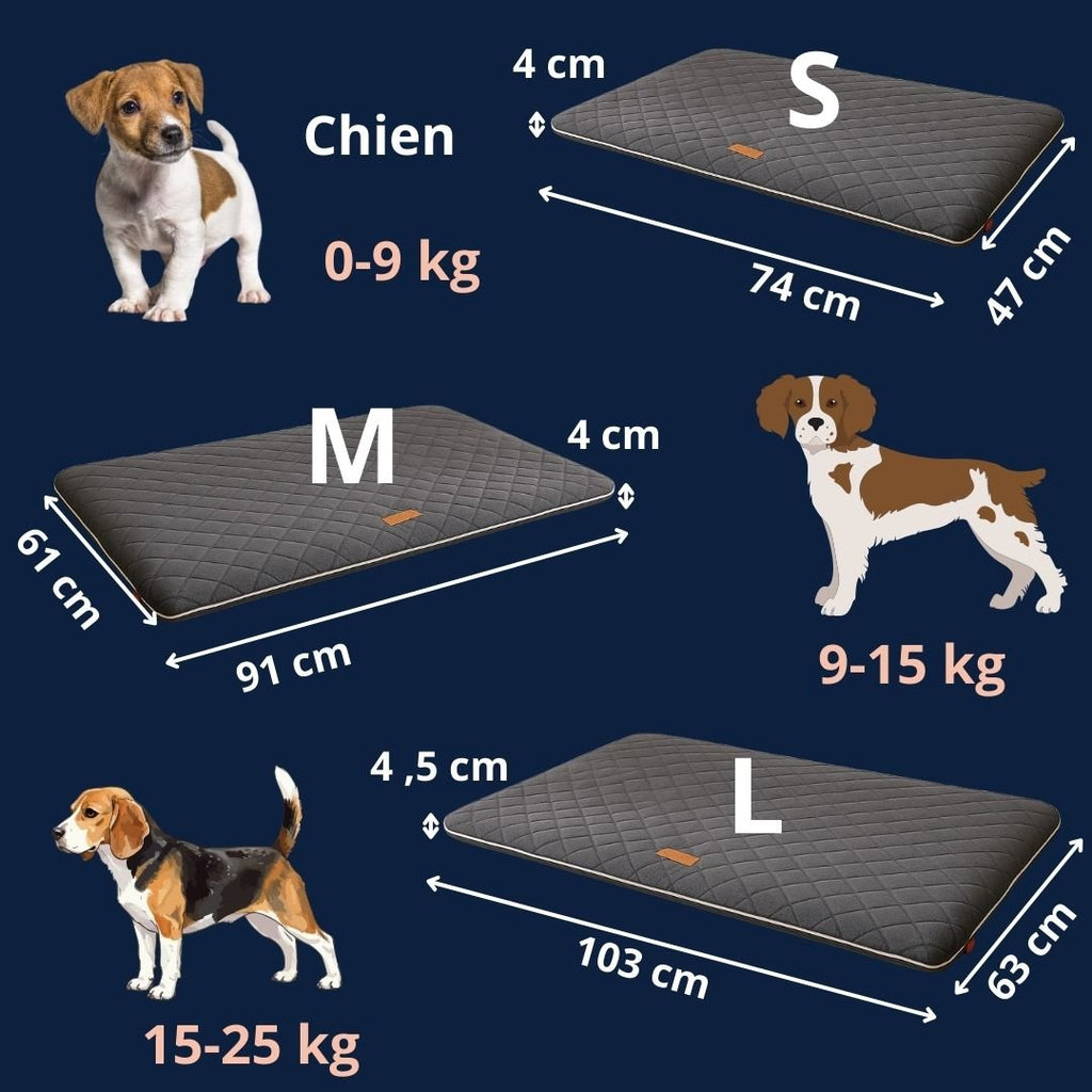Tapis pour chien - DéhoussableToutou™