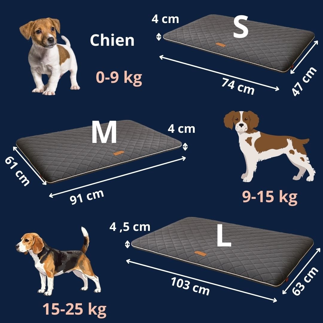 Tapis pour chien - DéhoussableToutou™