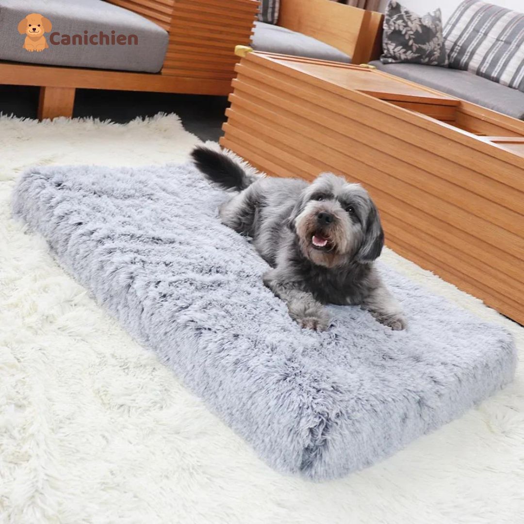 Tapis pour chien | Confortplus™