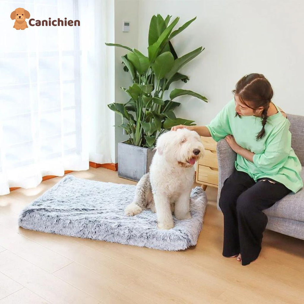 Tapis pour chien | Confortplus™