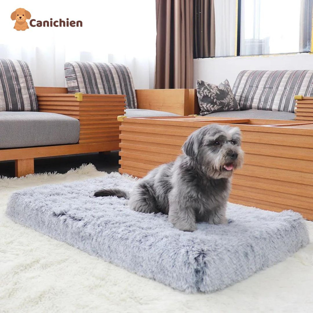 Tapis pour chien | Confortplus™