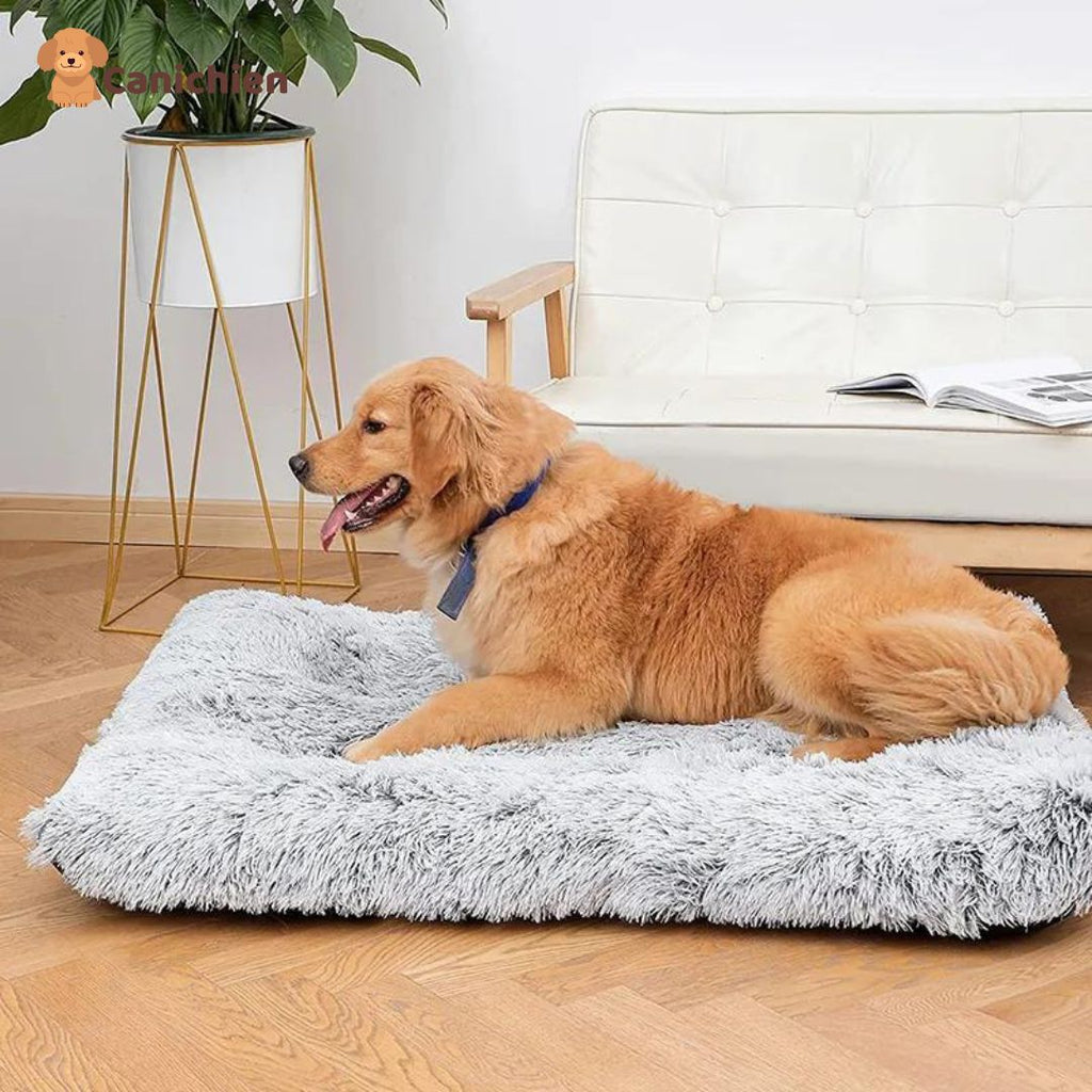 Tapis pour chien | Confortplus™