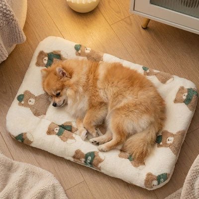 Tapis pour chien - LavableToutou™