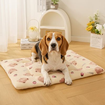 Tapis pour chien - LavableToutou™