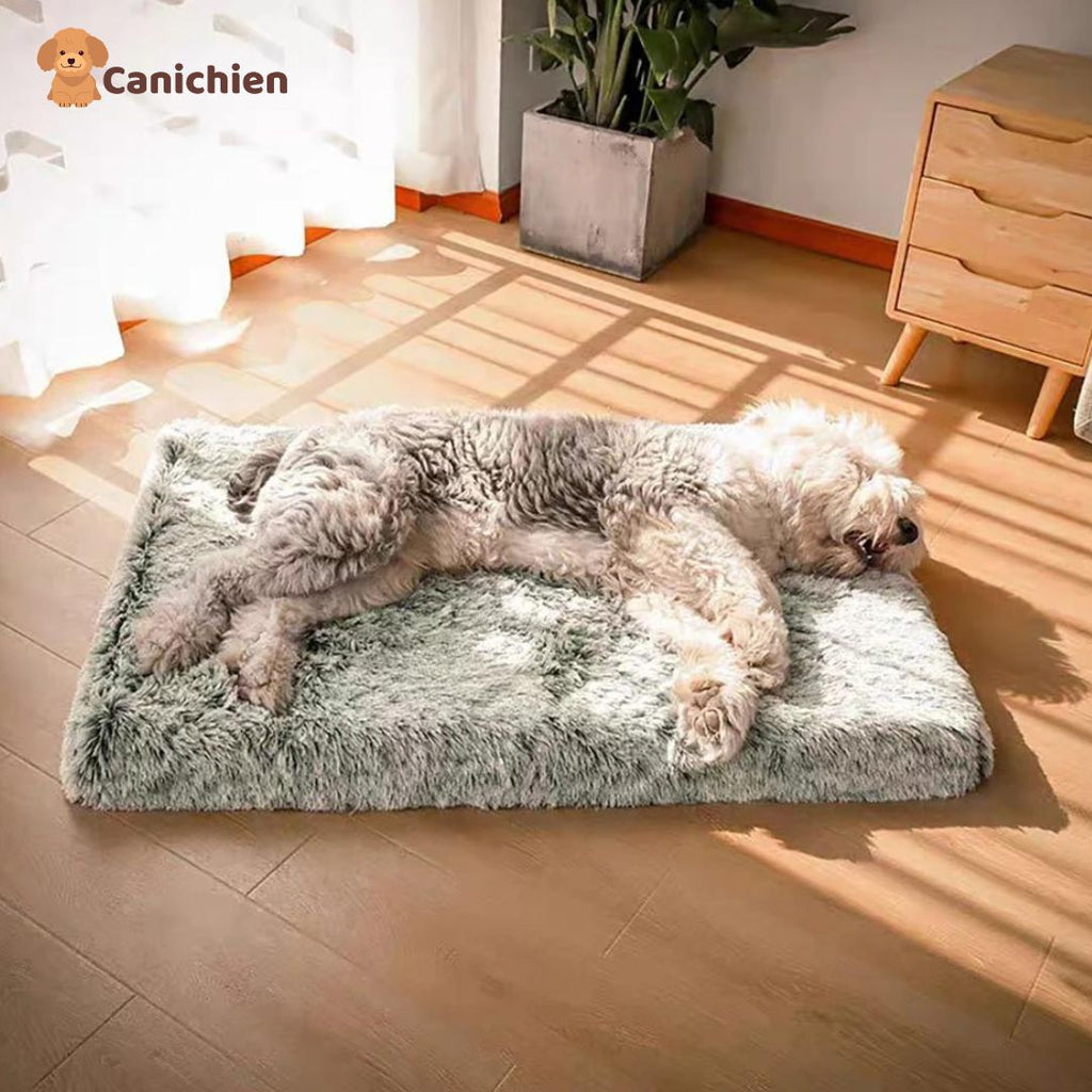 Tapis pour chien | Confortplus™